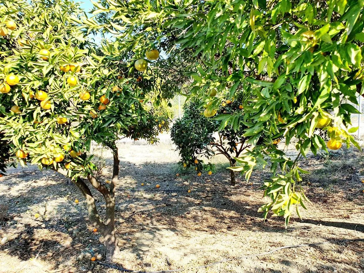 Dom wakacyjny Casa Rural - Serrano House Malaga